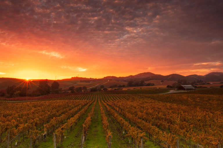 fiery red and orange sun behind hills and vineyards